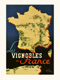 The vineyards of France